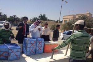 محافظة ومديرية وبلدية المنطقة الجنوبية تنظم حملات تفتيشية في جو وعسكر