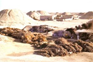 أرشيف دلمون والهوية الدلمونية الضائعة