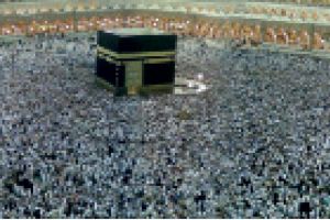 الوسط الطبي     لقرائها..  كل عام و أنتم سعداء