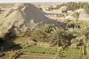البحرين: المد العمراني يدمر أقدم مقبرة في العالم
