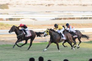 'ناس' ترعى مهرجاناً ترفيهياً وسباقاً متميزاً في سباق الخيل