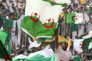 إصابات خلال عملية بيع تذاكر مباراة الجزائر مع بوركينافاسو