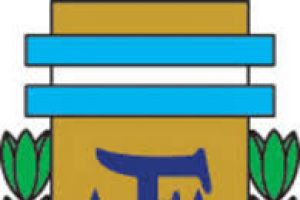 الأرجنتين تحتفل بعد وقوعها في 'مجموعة الحياة' بالمونديال البرازيلي