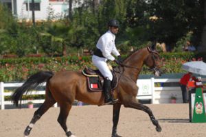 الفريق البحريني لقفز الحواجز يواصل نتائجه الايجابية في الامارات