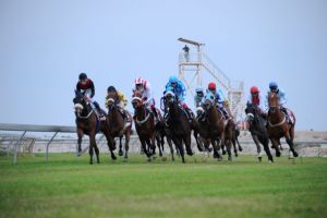 نادي راشد للفروسية: منافسات مرتقبة على كؤوس عيسى بن سلمان واللكزس والمنتصر