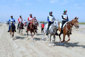 فيصل بن راشد يعتمد الطاقم التنظيمي والتحكيمي لبطولة خالد بن حمد للقدرة
