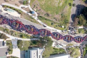 صورة : أكبر حمض نووي بشري في العالم