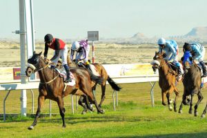 نادي راشد للفروسية ينظم السباق السادس عشر لهذا الموسم