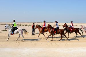 الخاطري يحرز المركز الأول في السباق التأهيلي للقدرة لمسافة 80 كيلومتر