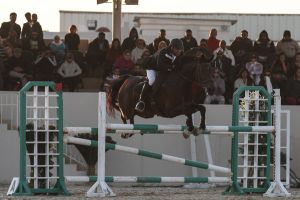 الفرسان: نسعى لخطف بطولة ناصر بن حمد.. وصعوبة التكهن بهوية الفائز بلقبها