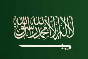 السعودية تطالب مجلس حقوق الإنسان الدولي بالتصدي للانتهاكات المروعة في سورية