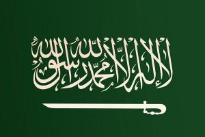 دبلوماسي سعودي: استثمارات المملكة في أوكرانيا آمنة