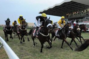 68 جواداً ومنافسات منتظرة على كؤوس حمد بن ناصر وبتلكو