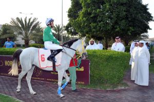 بحضور نجل سمو ولي العهد نادي راشد للفروسية وسباق الخيل ينظم السباق ال 22 لهذا الموسم
