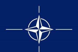 حلف الاطلسي: اطلاق النار على سفينة تجارية في مضيق هرمز اليوم