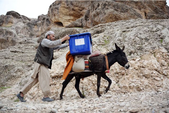 الحمار إحدى وسائل إيصال صناديق الاقتراع إلى مناطق نائية ووعرة في أفغانستان- AFP
