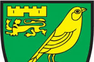 نوريتش سيتي يقيل المدرب هوتون