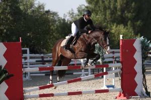 فيصل بن راشد: الفرسان في التحدي الأخير لمسابقات قفز الحواجز السبت المقبل