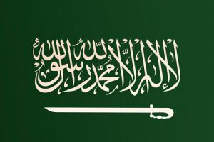 السعودية: نمر يفترس آسيويا في الخبر