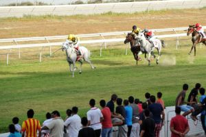 بحضور سمو الشيخ عيسى بن سلمان اقامة سباق الخيل الرابع والعشرون لهذا الموسم