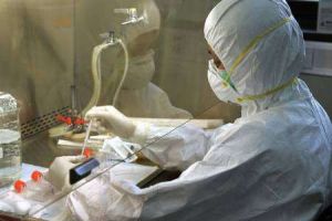 اليابان تؤكد أول حالة إصابة بأنفلونزا الطيور منذ 2011