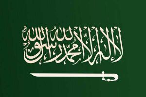 السعودية تدعو المجتمع الدولي الى إيقاف 'الجرائم 'التي ترتكب في سوريا وميانمار وأفريقيا الوسطى