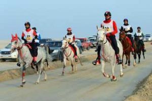 منافسات مميزة في كأس سمو ولي العهد مع ختام موسم سباقات القدرة