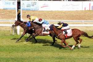 نادي راشد للفروسية يختتم يوم الجمعة نشاط الموسم الجاري