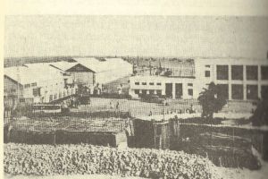 وثيقة: محجر صحي «للجوالبيت واللنجات» في البحرين