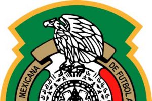 المنتخب المكسيكي ينطلق إلى أمريكا استعدادا لمونديال البرازيل