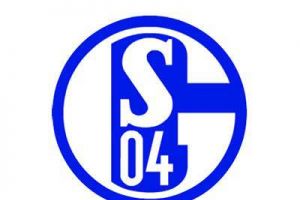 الكاميروني تشيبو موتينغ من ماينتس الى شالكه لثلاث سنوات