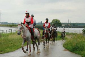 ناصر بن حمد: المراكز المتقدمة للفارسات ترجمة للاهتمام برياضة المرأة في المملكة