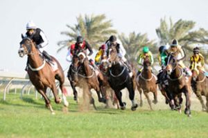 نادي راشد للفروسية يعين باوري رئيساً إداريا للسباقات 