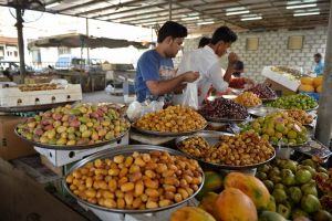 شاهد الصور... الرطب الفاكهة الأغنى بالغذاء