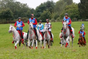  ناصر بن حمد يقود خماسي الفريق الملكي في بطولة العالم للقدرة في نورماندي غدا 