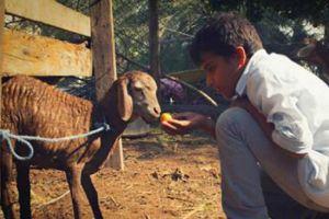 صالح ناس «والسوق المركزي» في «كالاغاري» بكندا