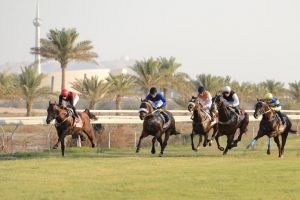 أنطلاق موسم الخيل 7 نوفمبر وفعاليات وإثارة تنتظر الجماهير