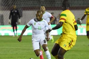 الجزائر اول المتأهلين إلى امم افريقيا 2015