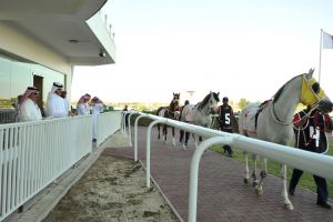 'راشد للفروسية' ينظم السباق الافتتاحي للموسم الجديد