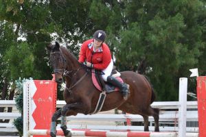 الفرسان يؤكدون جاهزيتهم للمنافسة على لقب بطولة افتتاح الموسم لقفز الحواجز