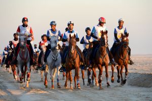  ناصر بن حمد يوجه بالانتهاء من التحضيرات والاستعدادات لافتتاح موسم سباقات القدرة السبت المقبل 