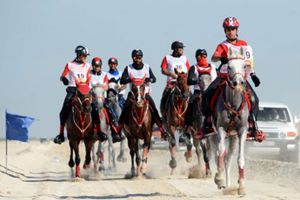 الفحص البيطري لسباق افتتاح الموسم للقدرة اليوم .. والبطولة تنطلق يوم بعد غد السبت