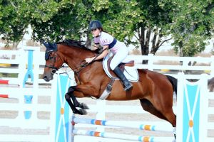 الفارس التحو يخطف لقب المسابقة الكبرى ببطولة الاتحاد الملكي لقفز الحواجز