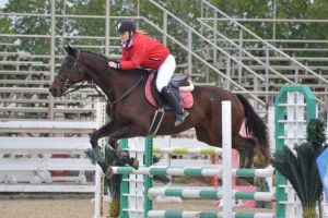 انطلاق بطولة العيد الوطني لقفز الحواجز برعاية عز الخيل وتيتولو للتصميم