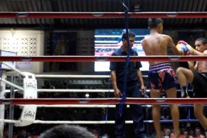 البطل البحريني الصغير يوسف وليد يخسر أمام خصمه التايلندي في البطولة العالمية للمواي تاي للمحترفين