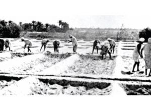 «القُريَّة»: يوم قروي بامتياز... لولا الحريق