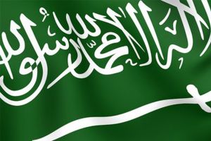 إيران: العثور على جثة سائح سعودي قتل إثر سقوط طائرة ترفيهية الأسبوع الماضي