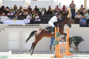 التحضيرات تتواصل لبطولة رئيس الاتحاد لقفز الحواجز