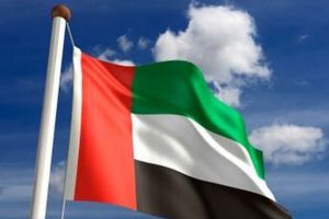 الإمارات تعلن دعمها لمصر وتدعو إلى اجتثاث 'داعش' من المنطقة