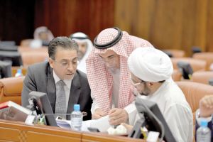 «النواب» يقر قانون التلقيح الصناعي والإخصاب
